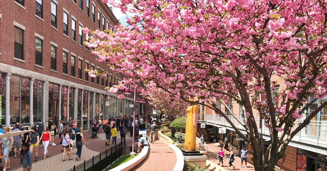 Walkway outside the gallery