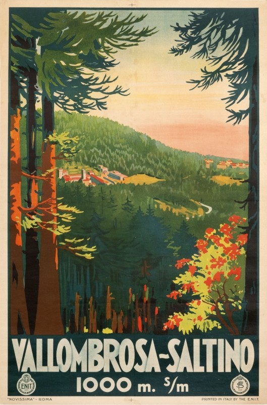 View of a valley between trees at the top of a mountain; green, brown, red
